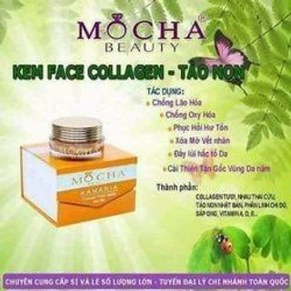 KEM Collagen tảo non