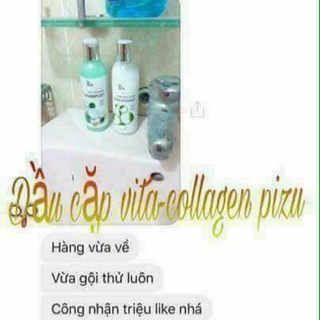 dầu cặp vừa collagen pizu