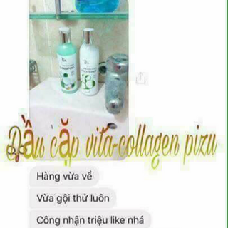 dầu cặp vừa collagen pizu