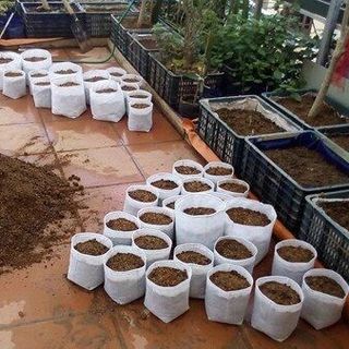 Túi trồng rau sạch