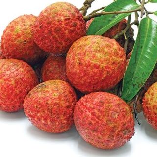 Quả Vải Thanh Hà