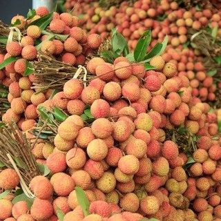 Quả Vải Thanh Hà