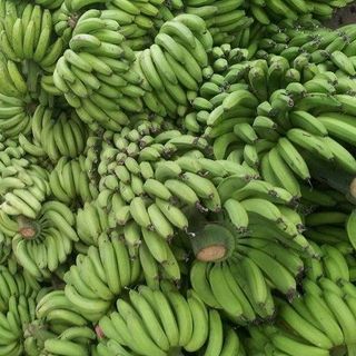 BƠ SÁP VÀNG DẺO