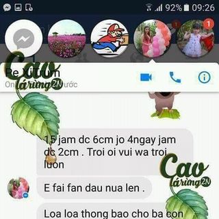 BỘ SẢN PHẨM TAN MỠ CAO LÁ RỪNG