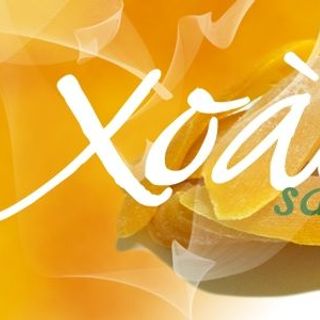 Xoài sấy dẻo thơm ngon 500gr