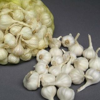 Tỏi Lý Sơn đặc sản Quảng Ngãi 500gr