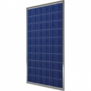 pin mặt trời poly 100w