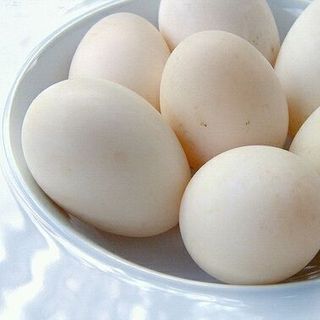 trứng vịt ta tại sóc trăng