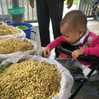 Bột mầm đậu nành nguyên sơ