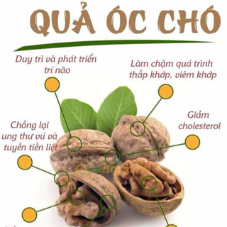 Óc chó hartley