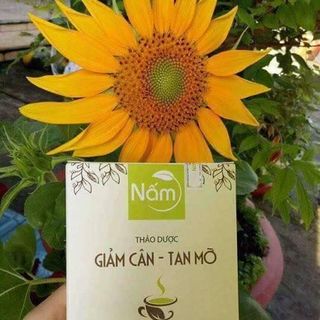 Nấm Giảm cân