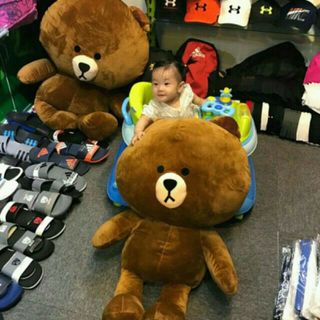 Gấu Brown 1m1