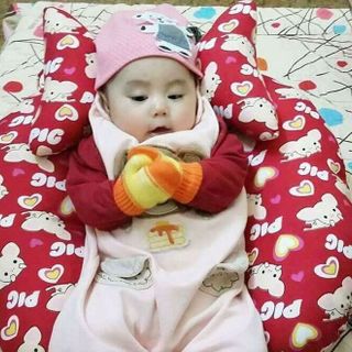gối đa năng và tai voi