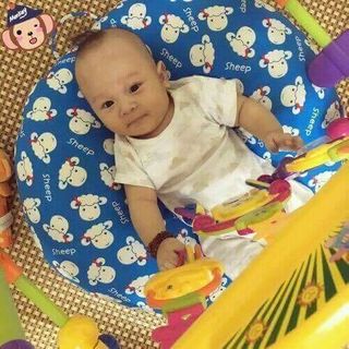 gối đa năng chống trào ngược