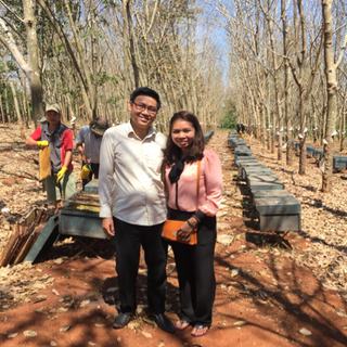 Mật Ong