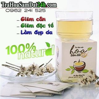 TRÀ HOA DÂM ĐẤT giá sỉ