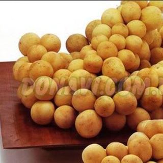 Quả bòn bon