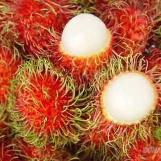 Chôm chôm giống Thái