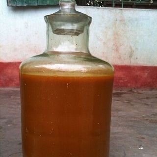 RƯƠU GỪNG NGHỆ HẠ THỖ