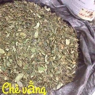 LÁ CHÈ VẰNG SẺ