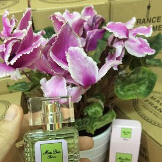 Nước Hoa Chiết Mẫu LOUIS LOVER 20ML