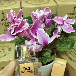 Nước Hoa Chiết Mẫu LOUIS LOVER 20ML
