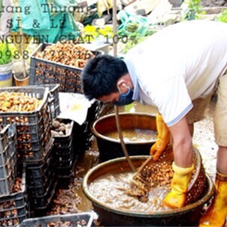 CHUYÊN SỈ TINH BỘT NGHỆ