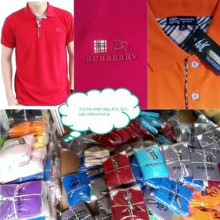 Áo thun nam có cổ bigsize