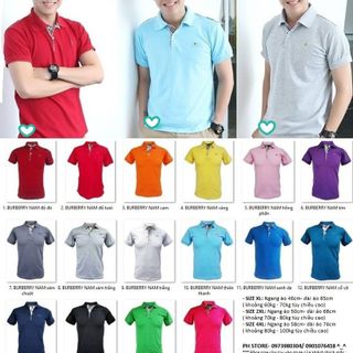 Áo thun nam có cổ bigsize