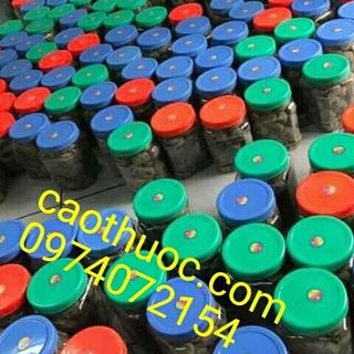 Thuốc Bắc tăng cân gia truyền