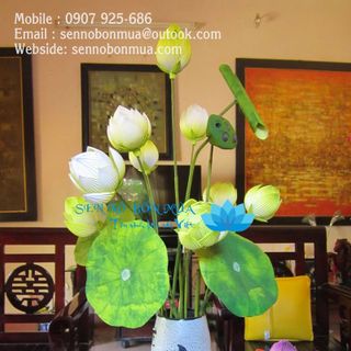 HOA SEN GIẤY