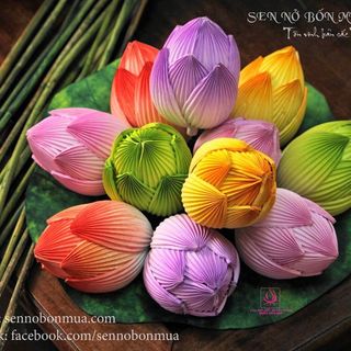 HOA SEN GIẤY