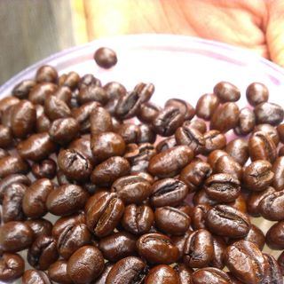 CÀ PHÊ MEKONG CUNG CẤP CHO QUÁN