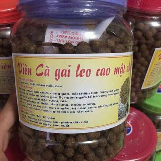 Thuoc vien ca gai leo