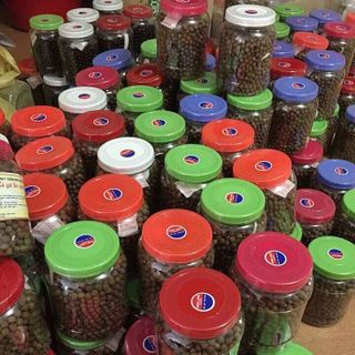 Thuoc vien ca gai leo
