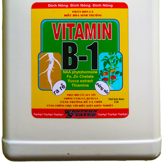 B1 TopAgri Đỉnh Nông DiNO 220ml công thức ra rễ cực mạnh cho nhà vườn 50ml 220ml 2lit 5lit đậm đặc gấp 4 lần