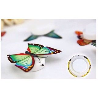 Đèn led ngủ hình bướm dán tường