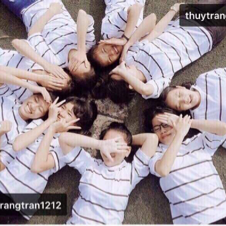 áo thun 4 chiều cotton