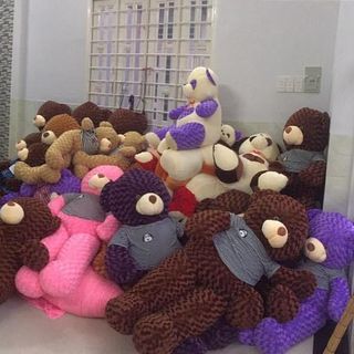 Gấu bông teddy giá sỉ