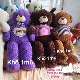 Gấu bông teddy giá sỉ