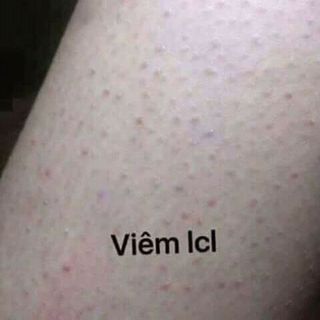 Trà hoa mộc Organic