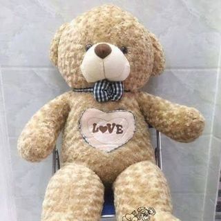 GẤU BÔNG 6T ĐẾN 2M5