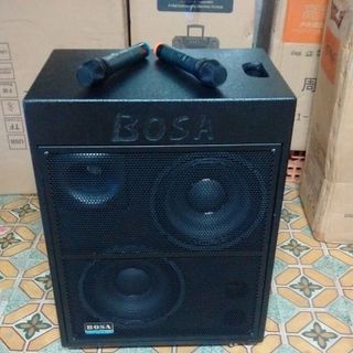 Loa Kéo BOSA PA998 BOSA PA6600 Bass 25 tấc Đôi Có Bảo Hành