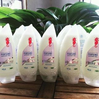 sưa tấm con ngựa