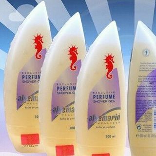 sưa tấm con ngựa