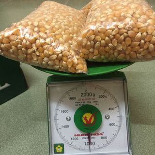 Cung cấp Bắp hạt Mỹ Làm bắp rang bơ