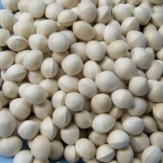 Bạch quả 1KG quả Ngân hạnh - bạch quả