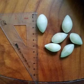 Bạch quả 1KG quả Ngân hạnh - bạch quả