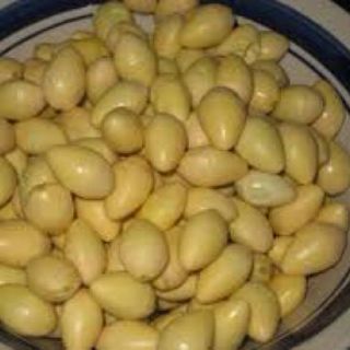 Bạch quả 1KG quả Ngân hạnh - bạch quả