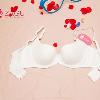 Áo ngực ZG - 3102 set 4 cái